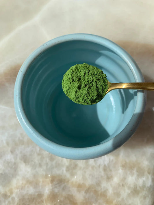 Økologisk Traditional Matcha 10g