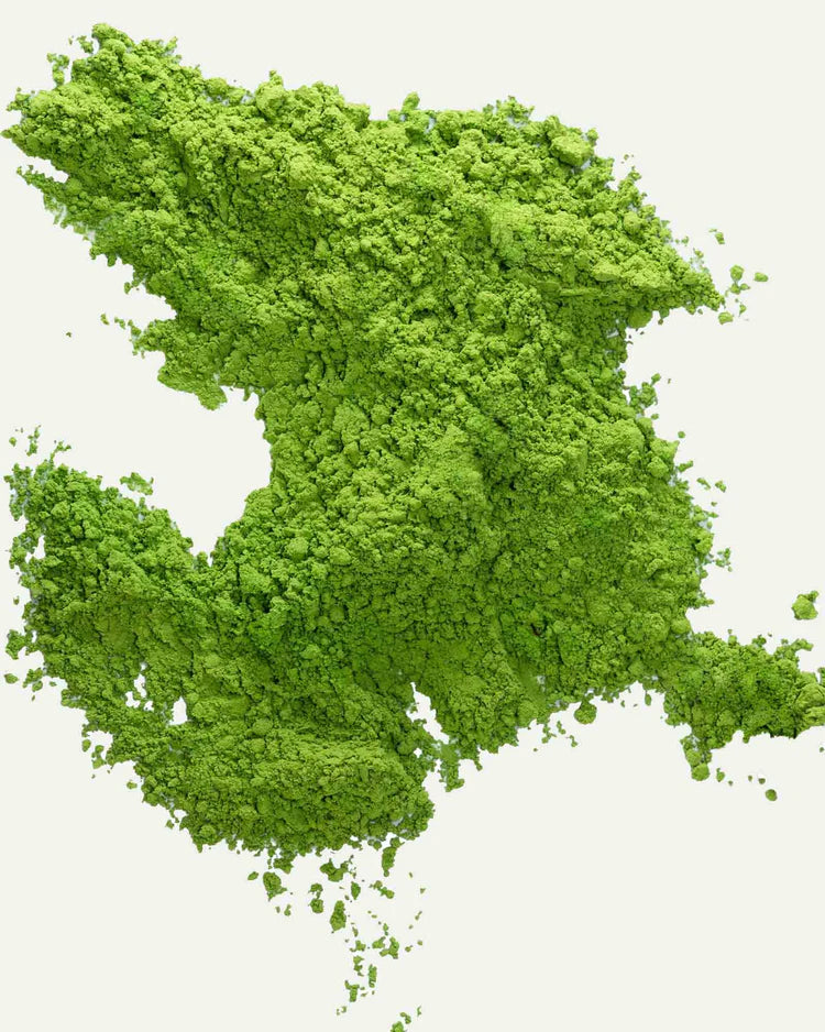 Økologisk Ceremonial Matcha 10g