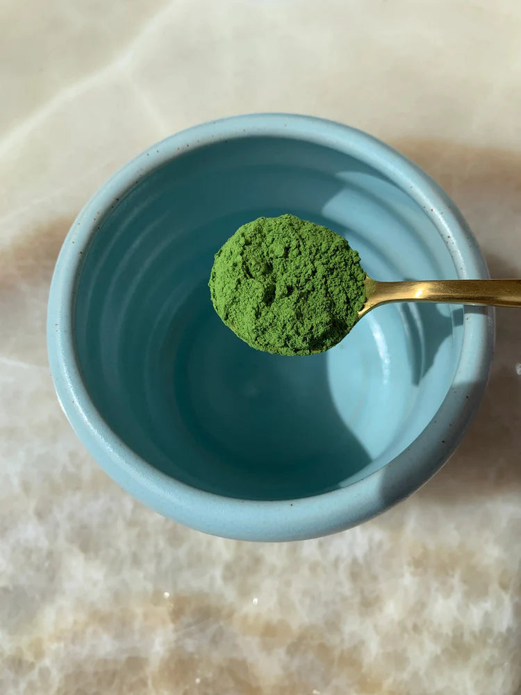 Økologisk Traditional Matcha 30g